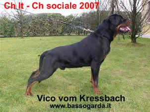 Vico Kressbach